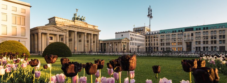 Das Brandenburger Tor in Berlin im Frühling mit Tulpen im Vordergrund. - BAHNHIT.DE, © getty, Foto: Marcello Zerletti